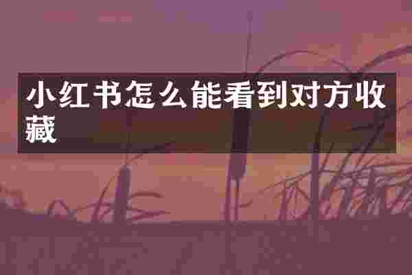 小红书怎么能看到对方收藏