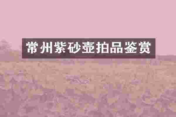 常州紫砂壶拍品鉴赏