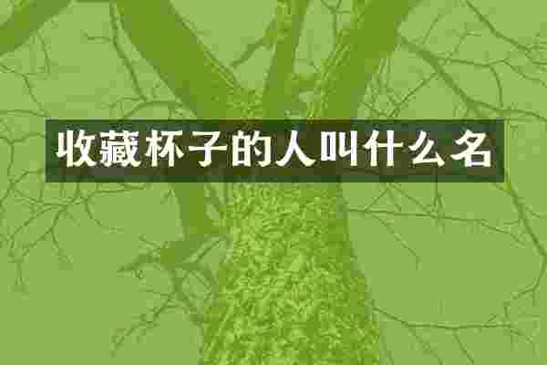 收藏杯子的人叫什么名