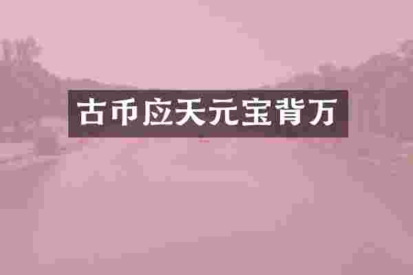 古币应天元宝背万