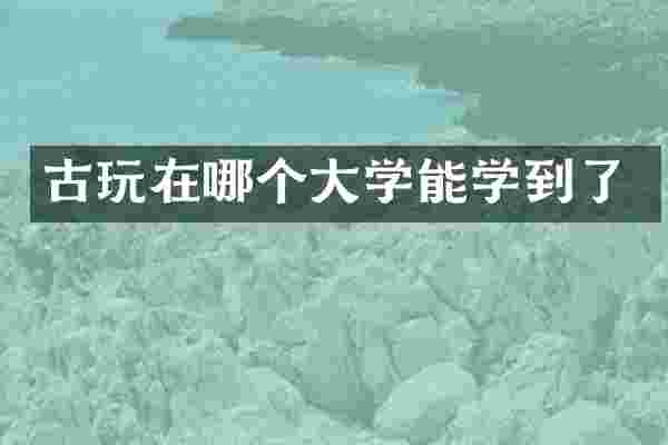古玩在哪个大学能学到了