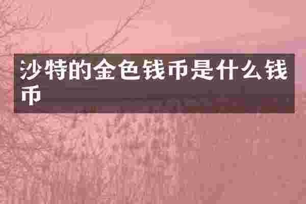 沙特的金色钱币是什么钱币