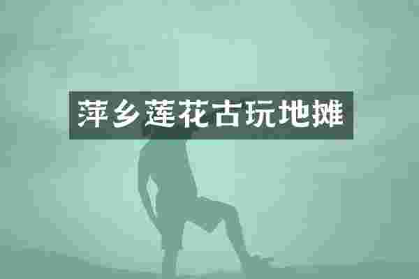 萍乡莲花古玩地摊