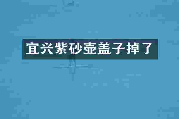 宜兴紫砂壶盖子掉了