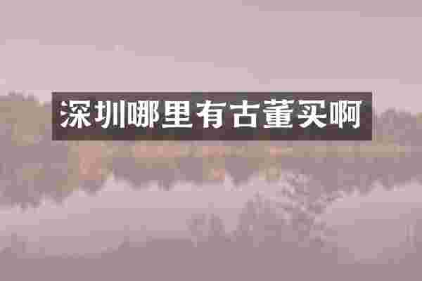 深圳哪里有古董买啊