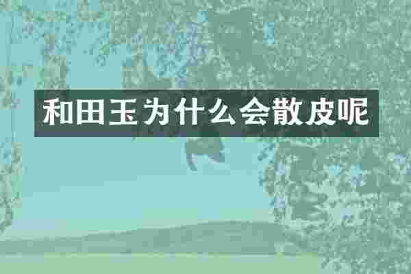 和田玉为什么会散皮呢
