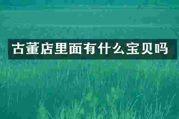 古董店里面有什么宝贝吗