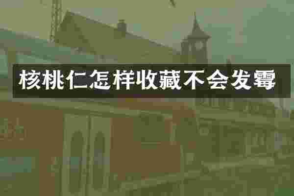 核桃仁怎样收藏不会发霉