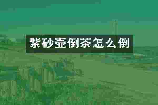 紫砂壶倒茶怎么倒