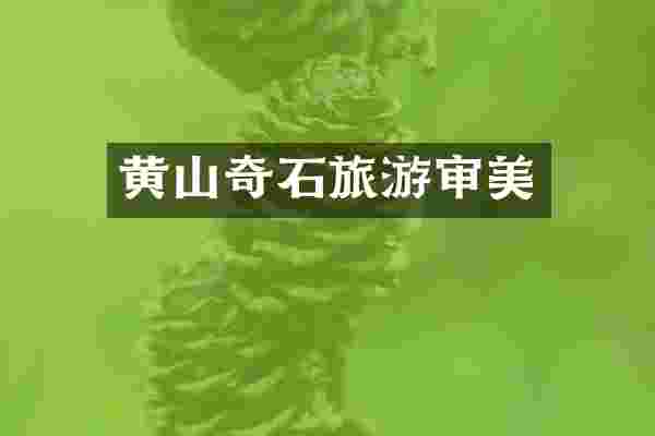 黄山奇石旅游审美
