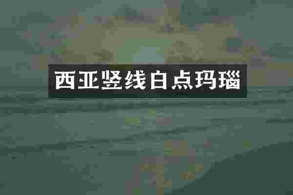 西亚竖线白点玛瑙