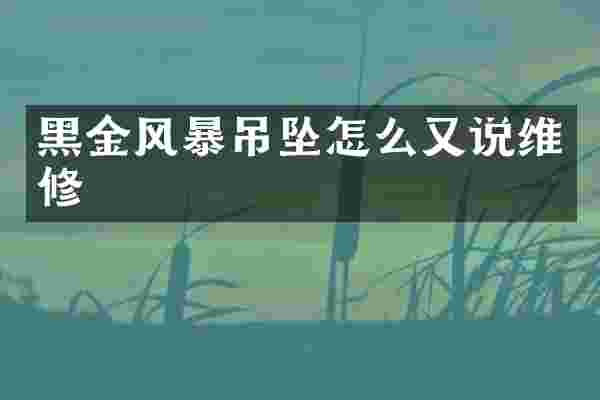 黑金风暴吊坠怎么又说维修