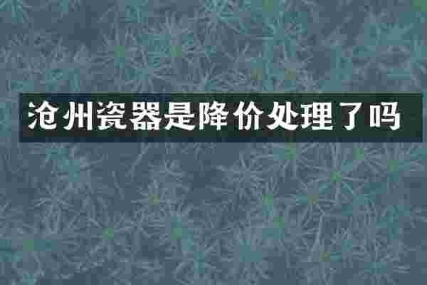 沧州瓷器是降价处理了吗