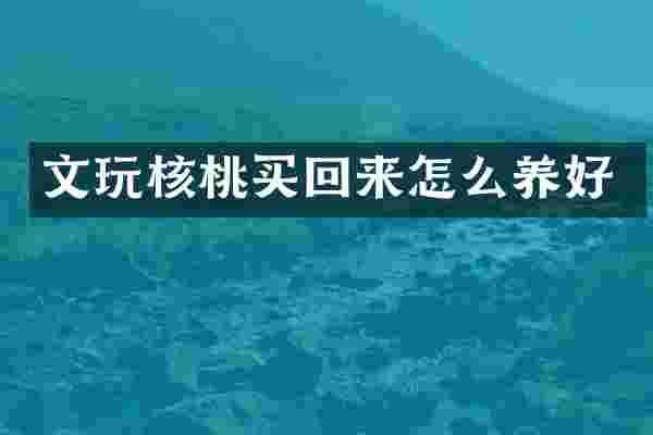文玩核桃买回来怎么养好