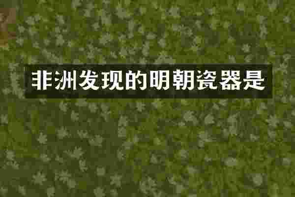 非洲发现的明朝瓷器是