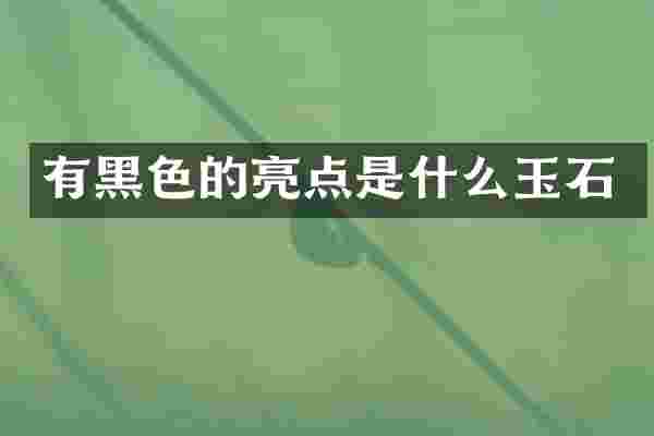 有黑色的亮点是什么玉石