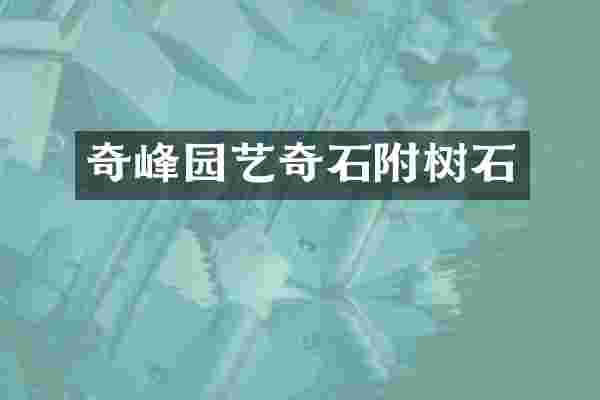 奇峰园艺奇石附树石