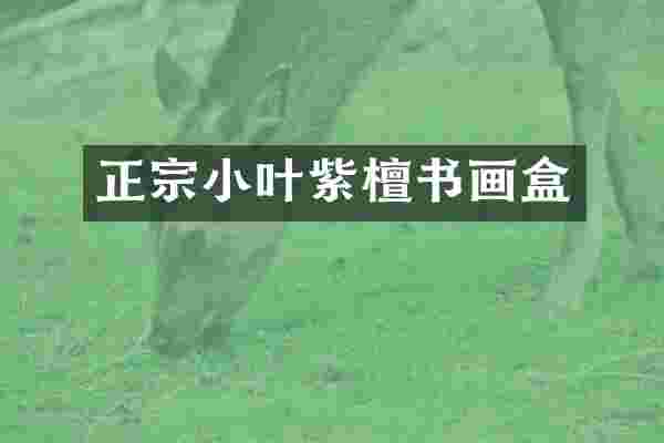 正宗小叶紫檀书画盒