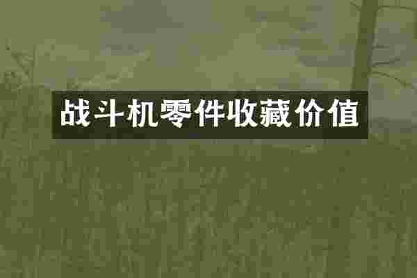 战斗机零件收藏价值