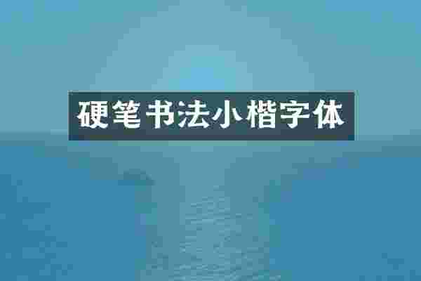 硬笔书法小楷字体