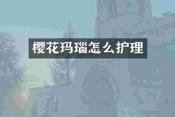 樱花玛瑙怎么护理