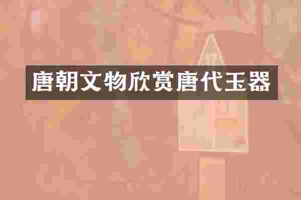 唐朝文物欣赏唐代玉器