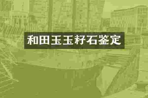 和田玉玉籽石鉴定