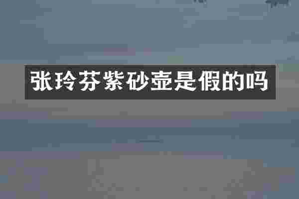 张玲芬紫砂壶是假的吗