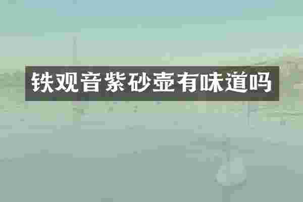 铁观音紫砂壶有味道吗