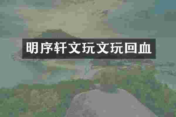 明序轩文玩文玩回血