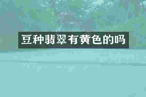 豆种翡翠有黄色的吗
