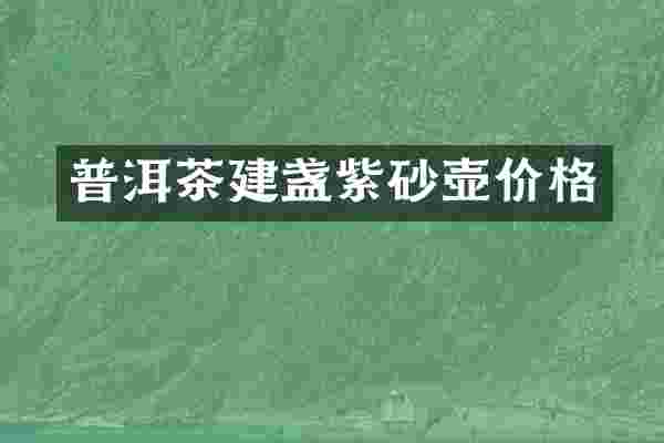 普洱茶建盏紫砂壶价格