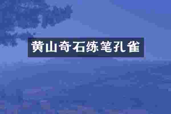 黄山奇石练笔孔雀