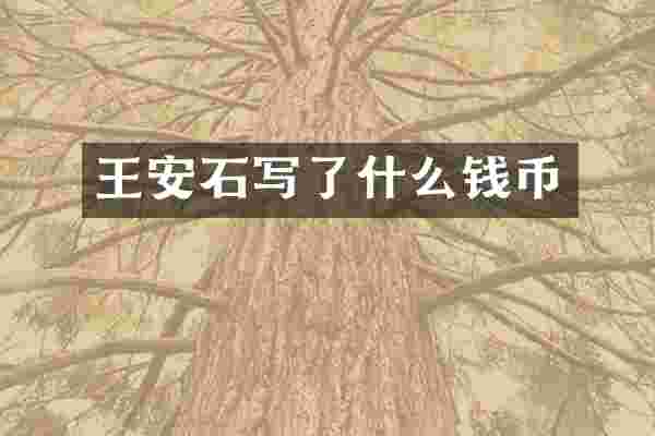 王安石写了什么钱币