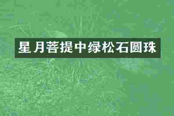 星月菩提中绿松石圆珠