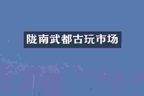陇南武都古玩市场