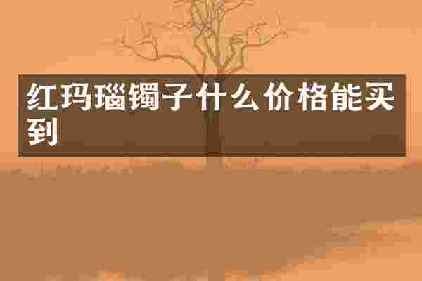 红玛瑙镯子什么价格能买到