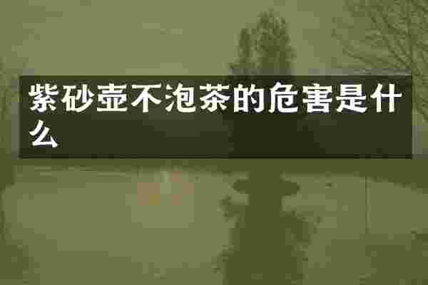 紫砂壶不泡茶的危害是什么