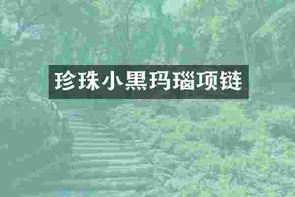 珍珠小黑玛瑙项链