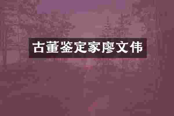 古董鉴定家廖文伟