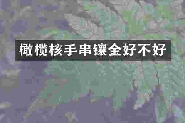 橄榄核手串镶金好不好