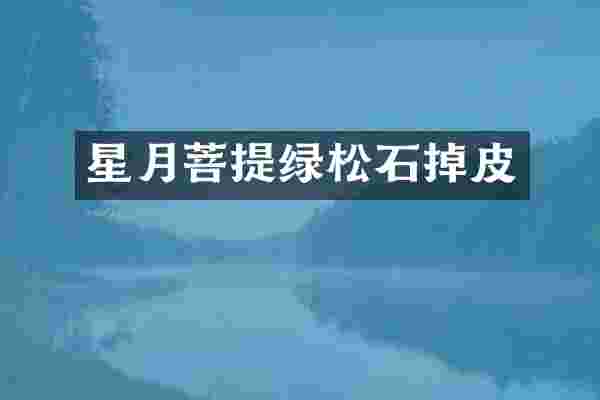 星月菩提绿松石掉皮