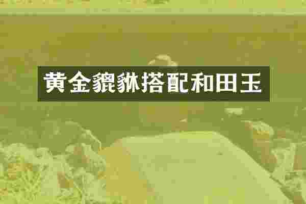 黄金貔貅搭配和田玉