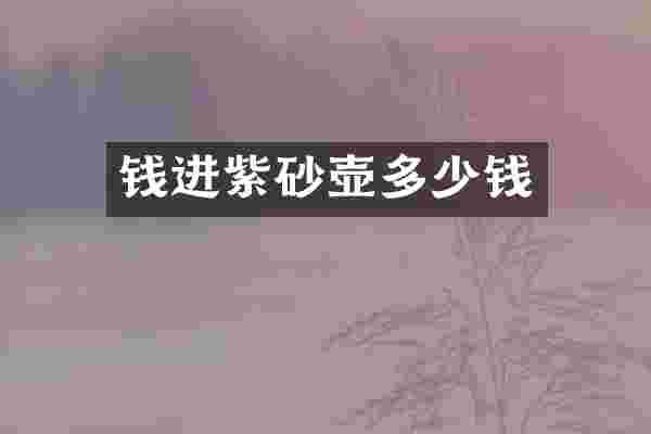 钱进紫砂壶多少钱