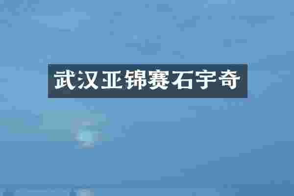 武汉亚锦赛石宇奇