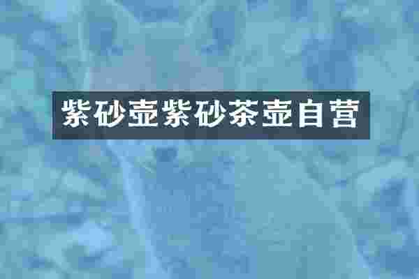 紫砂壶紫砂茶壶自营