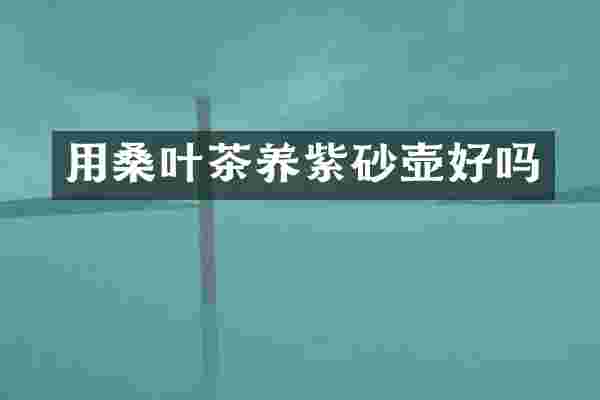 用桑叶茶养紫砂壶好吗