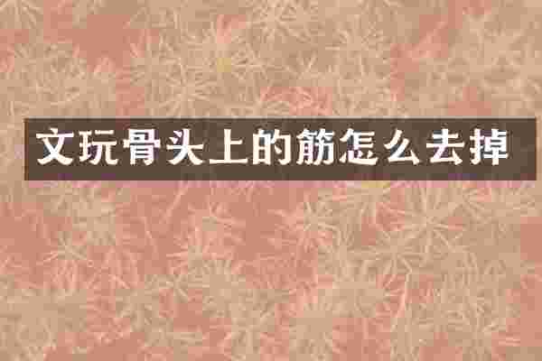 文玩骨头上的筋怎么去掉