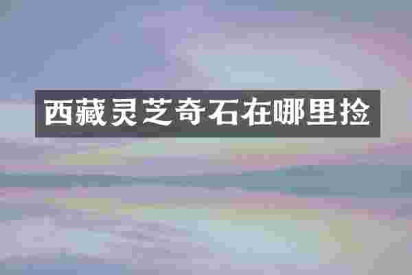 西藏灵芝奇石在哪里捡