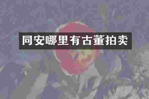 同安哪里有古董拍卖